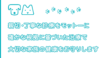 トミー犬猫病院 親切 丁寧な診療を行う奈良市の動物病院